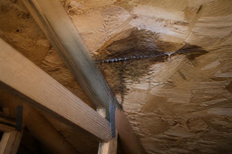 Leak Detection